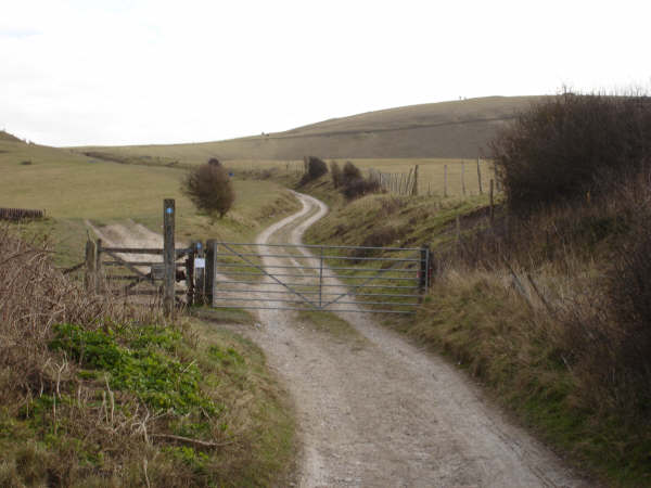 Long Man