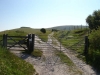 Long Man